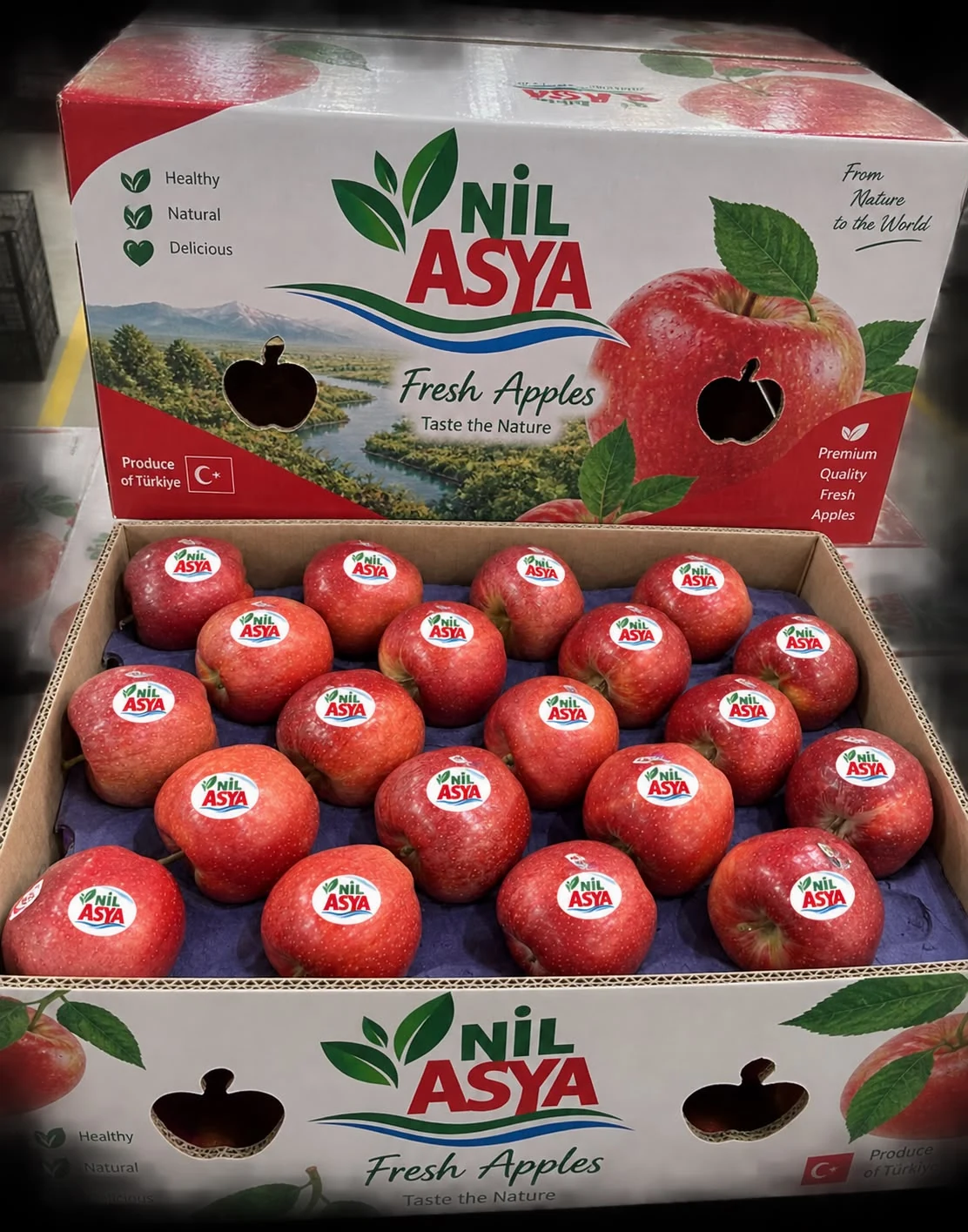 터키 사과 (그래니스미스, 갈라, 후지) export from Türkiye - Nilasya Global
